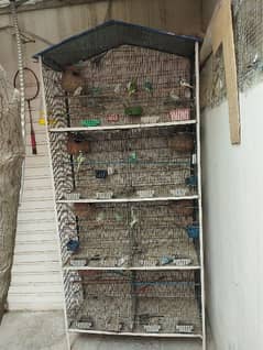 whole set up for sale ( cage + budgies )