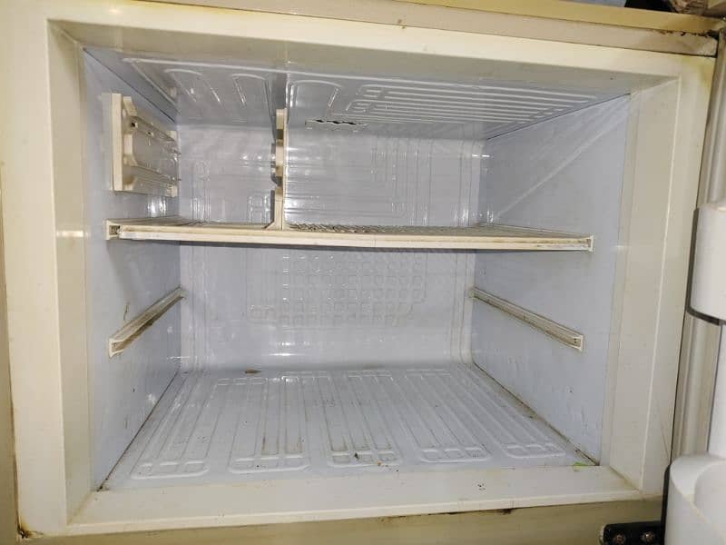 Pel Company fridge Large Size 2