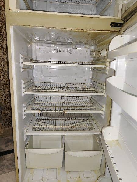 Pel Company fridge Large Size 3