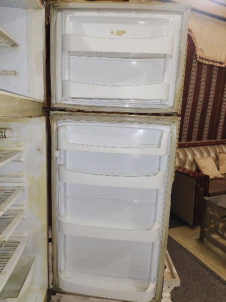 Pel Company fridge Large Size 4