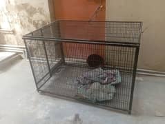 4.5ft'2.5ft cage for breeding grey parrot etc or dogs