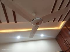 (3 fans)  pak fan ceiling fan