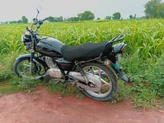 Suzuki 150 0