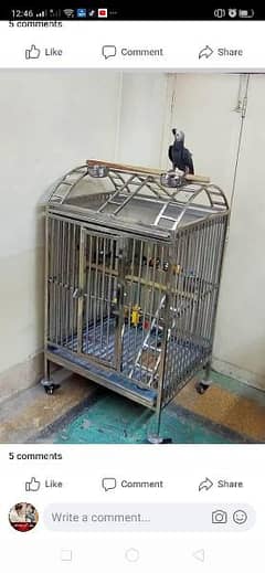African grey special steel cage for sale