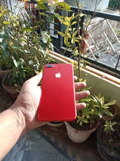 iPhone 7plus 128gb PTA Approved