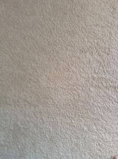 Plain beige color carpet excellent condition