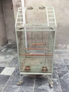 Cages/Parrot