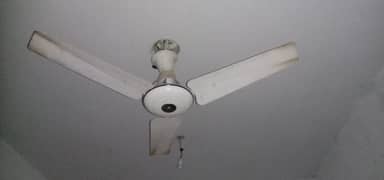urgent sale ceiling fan