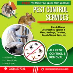 Termite control company in Lahore/  Fumigation services