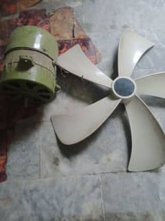 Air cooler motor