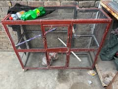 cage for hens & birds