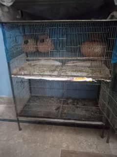 Birds Cage's Very low price