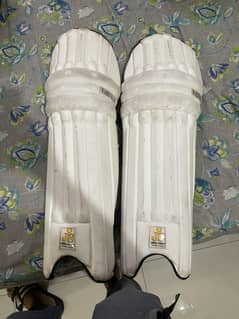 HARD BALL CRICKET PADS