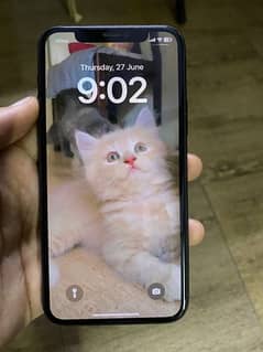 iPhone 11 Pro 256GB PTA Approved