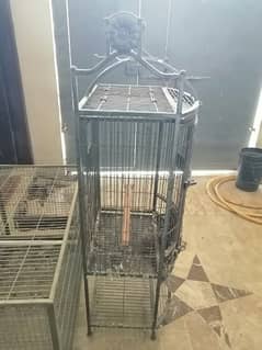 RAW PARROT 2 CAGES