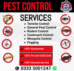 Victoria Pest Control, Termite Control, Fumigation services, Insects