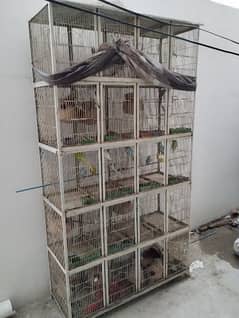 parrots and cages sale