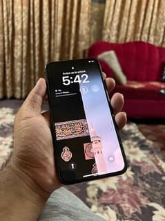 Iphone Xsmax 256Gb Non Pta