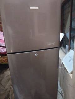 Kenwood Refrigerator Urgent Sale # 03486223941