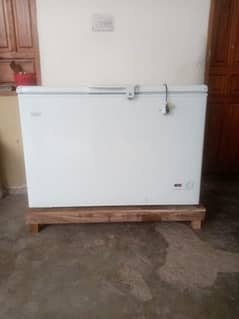 hair freezer only 2 week used. plz only wants app.