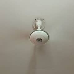 Royal conventional ceiling fan