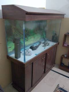 fish tank new condition in very cheap price