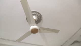 Like New Ceiling Fans for Sale - Excellent Condition!