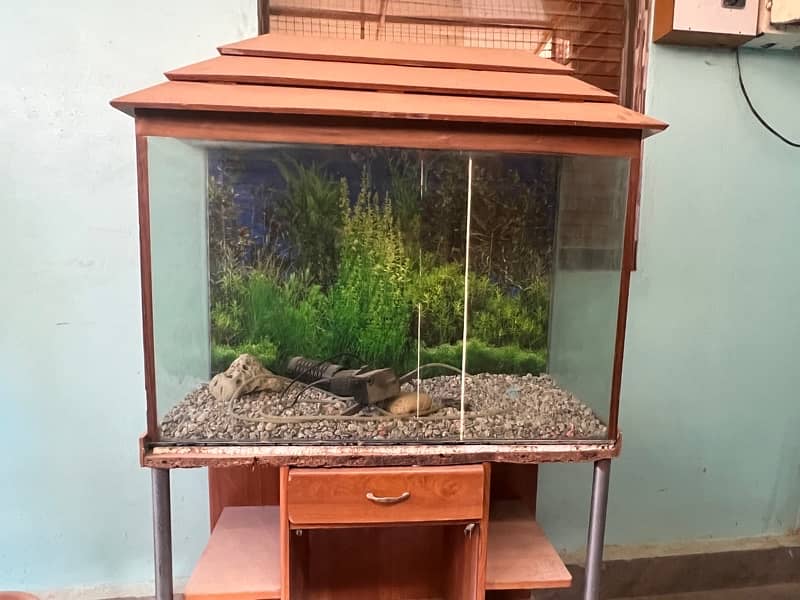 Aquariam 2