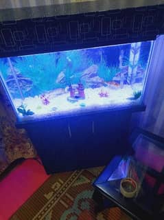 fish & New condition fish aquarium