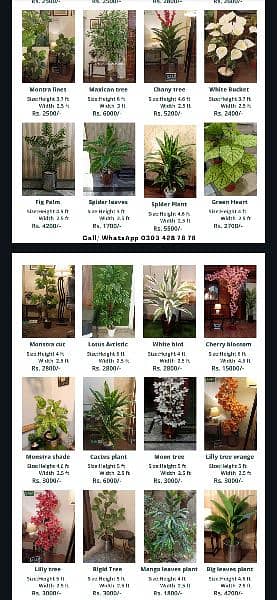 Planter, Artificial indoor plants. Table plants see pictures 4