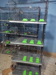 4 portions 2.5 Front by 1.5 Width by 1.5 Length 
Folding Cage