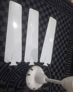 Cailing Fan For Sale