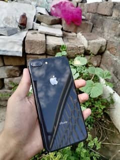 Iphone 8 Plus With Box