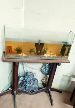3_ feet Aquarium with wooden base