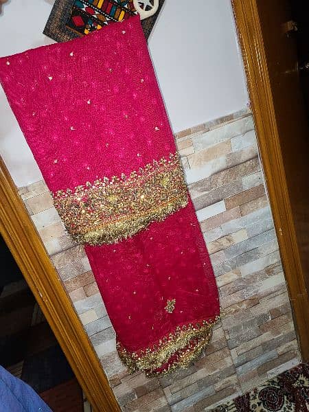 Bridal dress/Walima dress / bridal Maxi/bridal lehnga 7