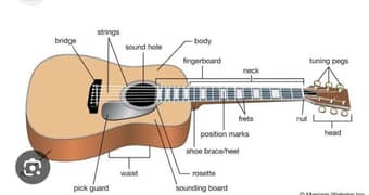 online course of acoustic guitar