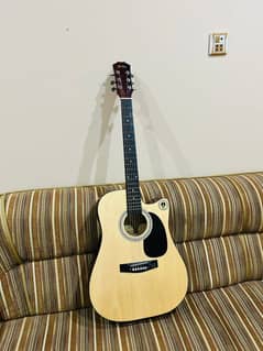 Acoustic Guitar