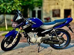 Yamaha YBR 125 2019 0