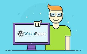 looking for wordpress developer