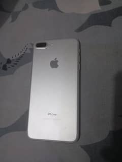 7 plus lush condition 10by10 PTA