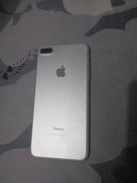 7 plus lush condition 10by10 PTA 0