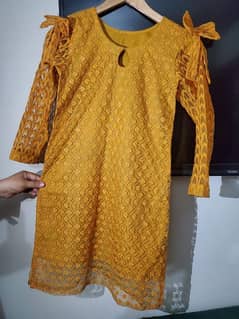 net embroided and lawn suit