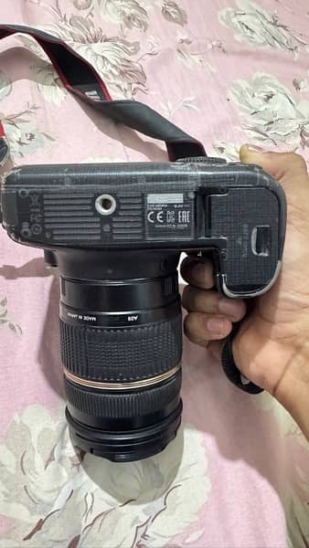 Canon 6D 2