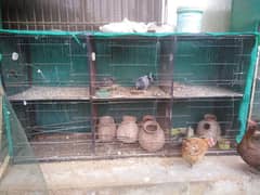 6 portion iron used cage for sale