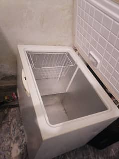 freezer for sale contect/03155134615