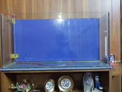 3ft large Size Aquarium perfect for new hobbies