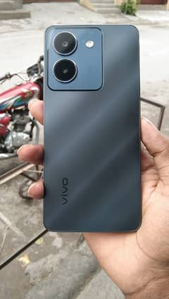 Vivo