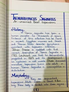 Handwriting