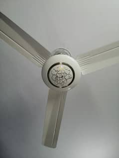 12 V Fan (battery fan & solar plate)