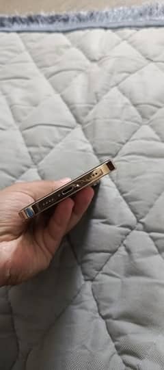 IPHONE 12 pro max pta approved